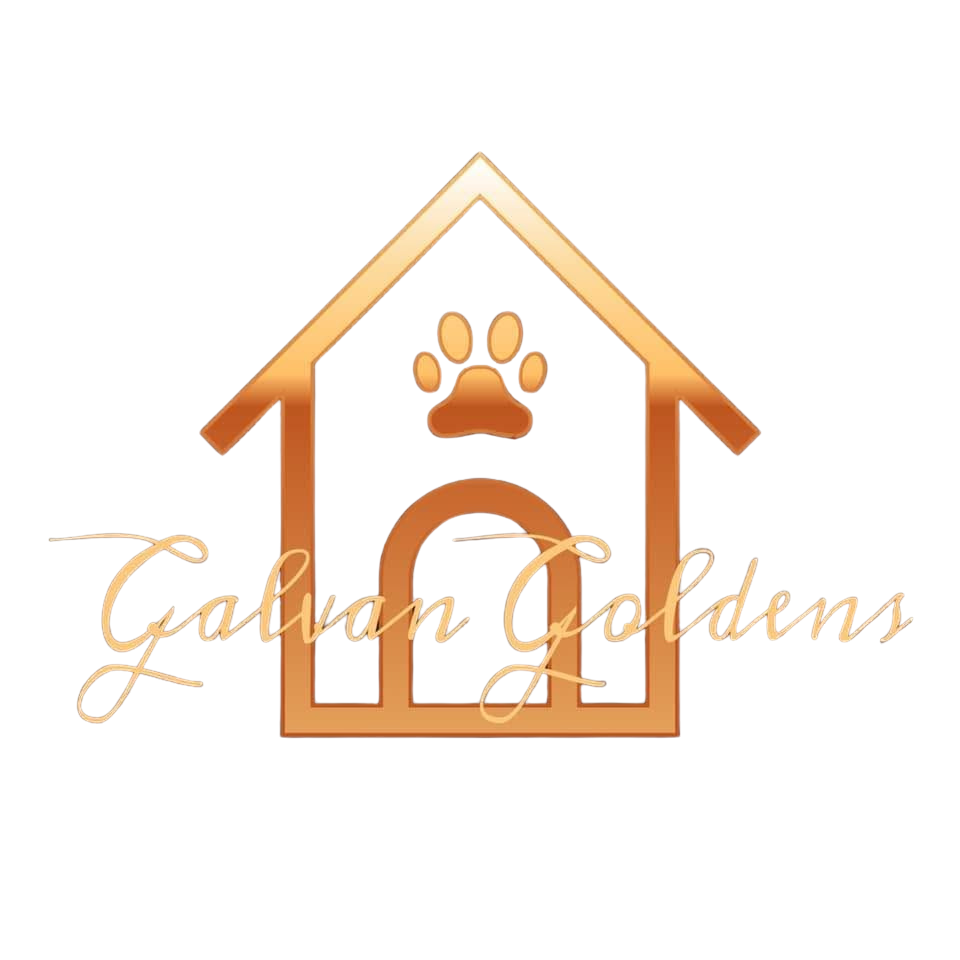 Galvan Goldens